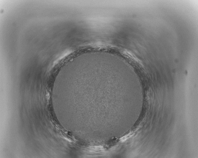 X0000088431302200705291515