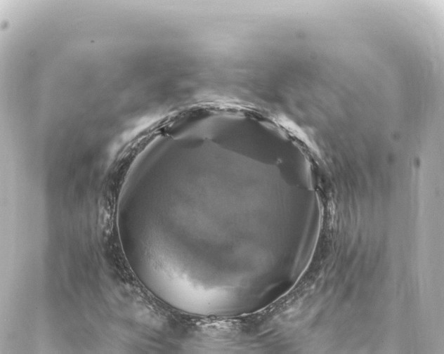 X0000088431303200705291515