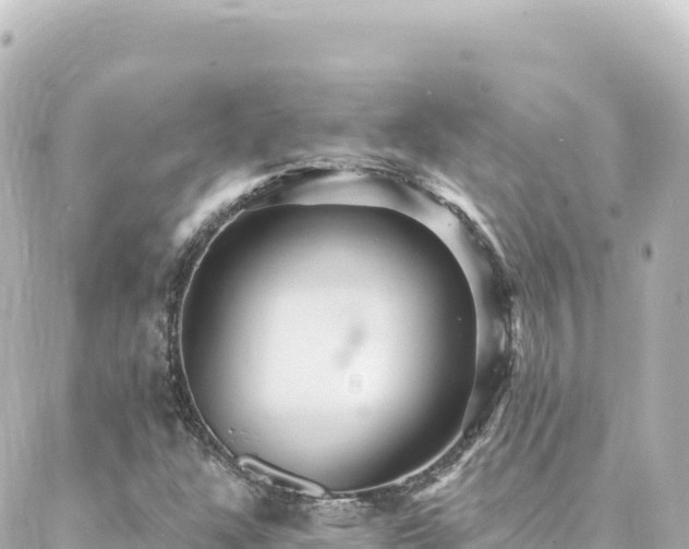 X0000088431304200705291515