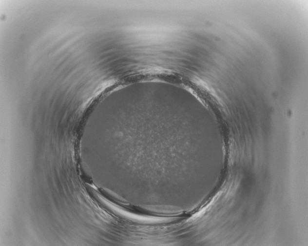 X0000088431305200705291515