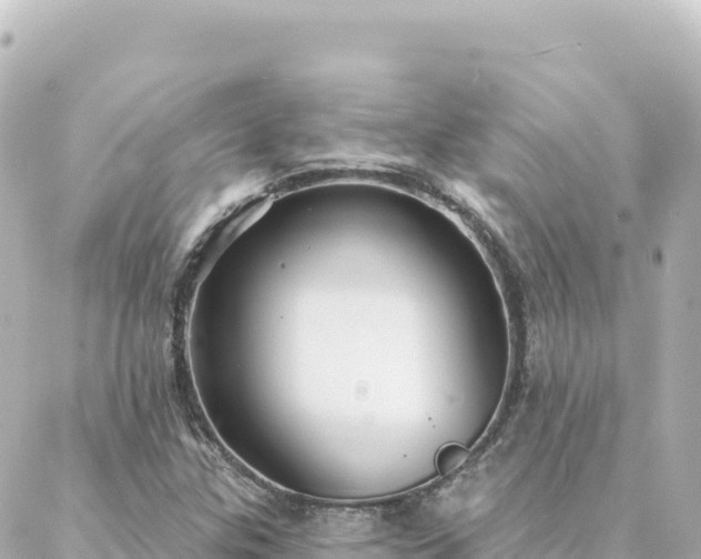 X0000088431307200705291515