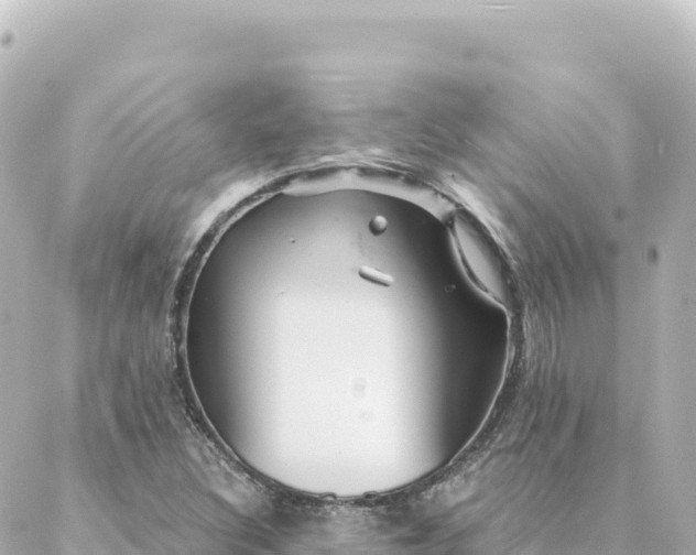 X0000088431308200705291515