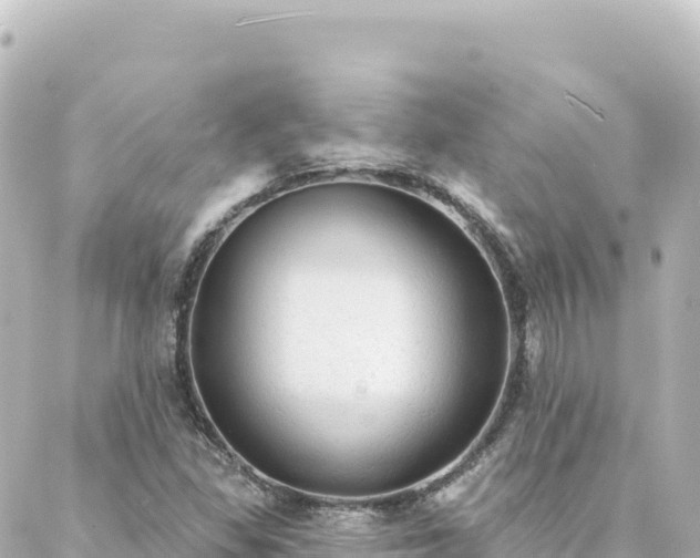 X0000088431309200705291515