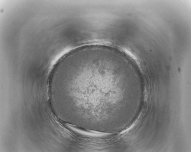 X0000088431310200705291515