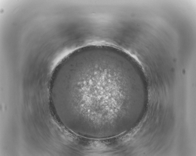 X0000088431311200705291515