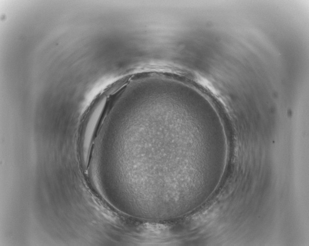 X0000088431312200705291515