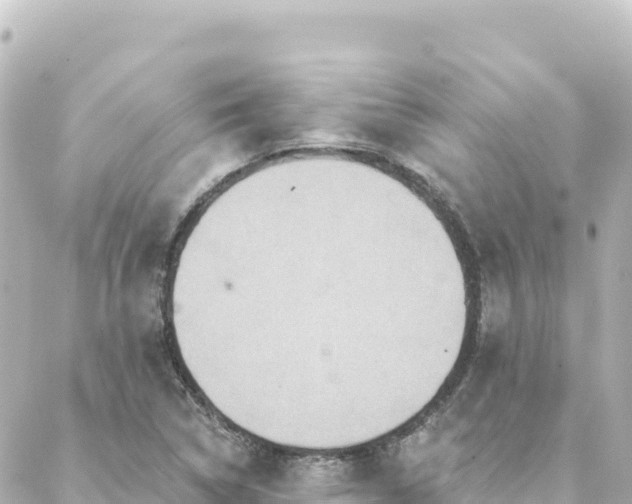 X0000088431314200705291515