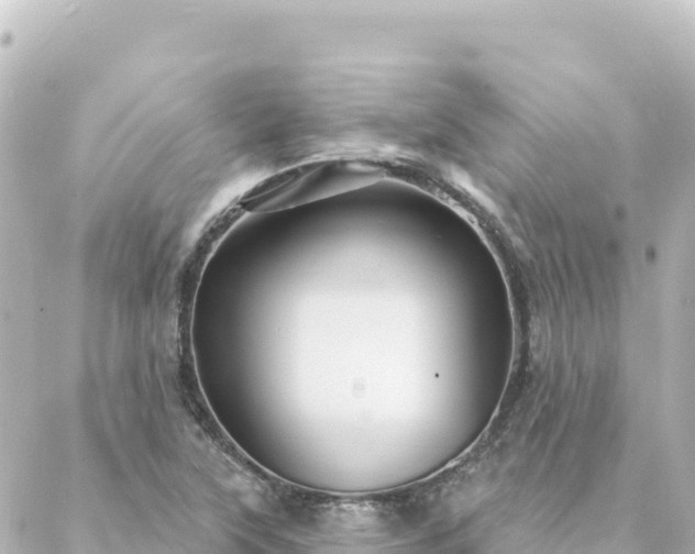 X0000088431315200705291515