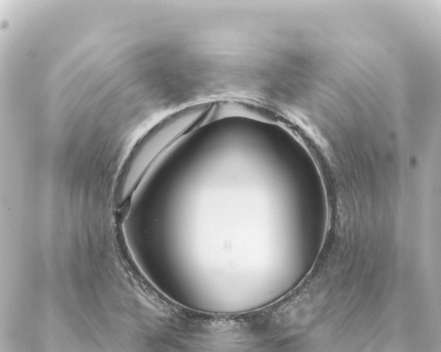 X0000088431316200705291515