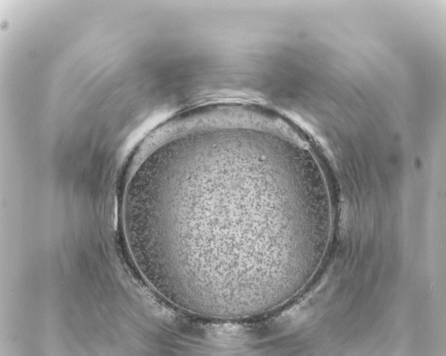 X0000088431317200705291515