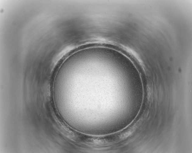 X0000088431318200705291515