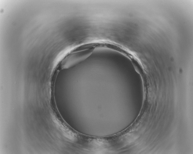 X0000088431319200705291515