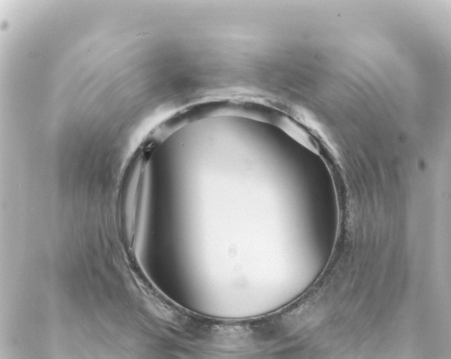 X0000088431320200705291515