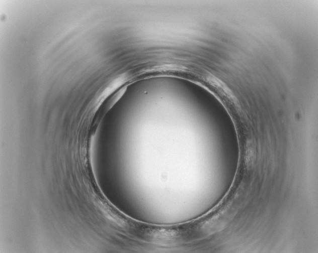 X0000088431321200705291515