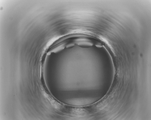 X0000088431323200705291515