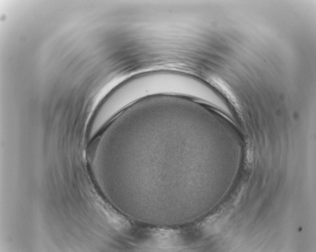 X0000088431324200705291515