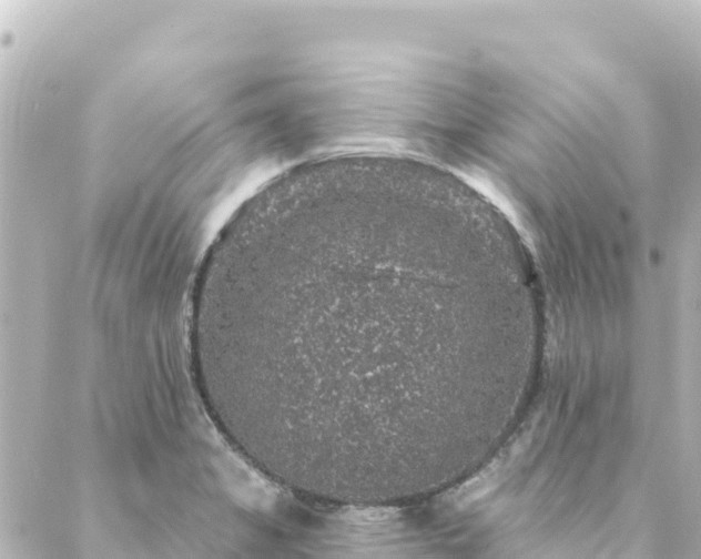 X0000088431325200705291515