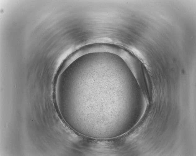 X0000088431326200705291515