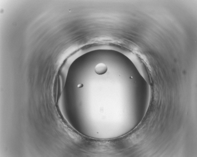 X0000088431328200705291515