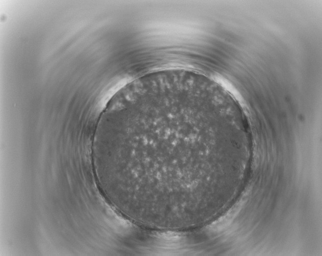 X0000088431329200705291515