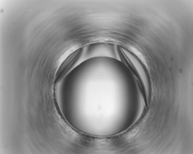 X0000088431330200705291515