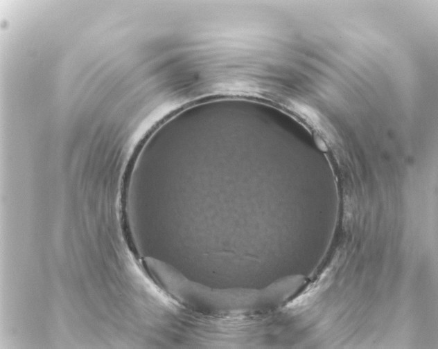 X0000088431331200705291515