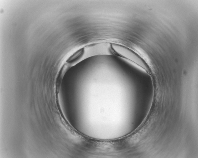 X0000088431332200705291515