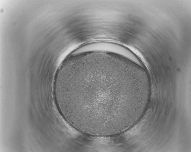 X0000088431333200705291515