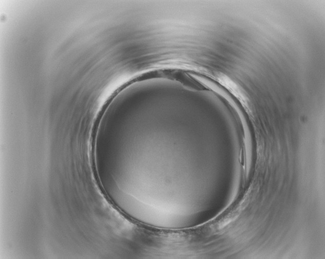 X0000088431334200705291515