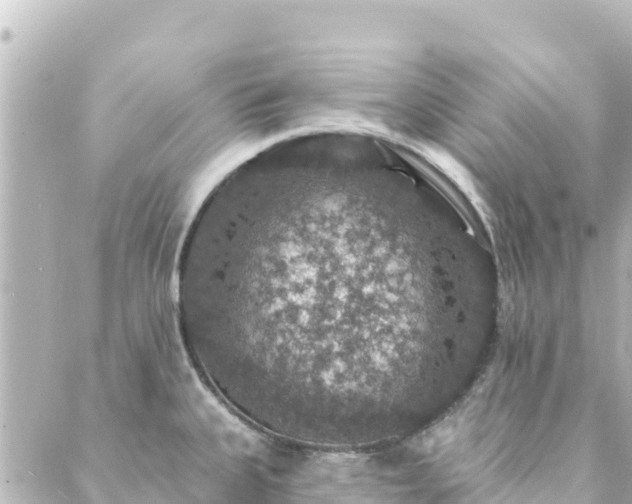 X0000088431335200705291515