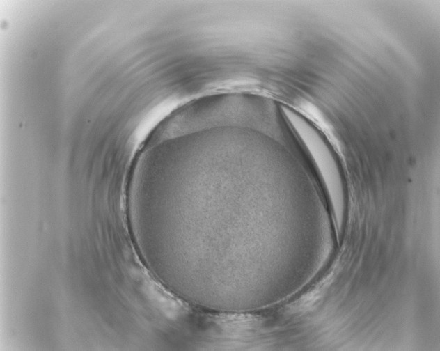 X0000088431336200705291515