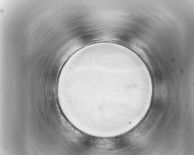 X0000088431338200705291515