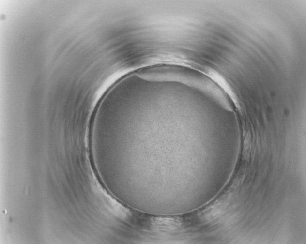 X0000088431339200705291515