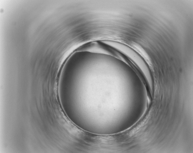 X0000088431340200705291515