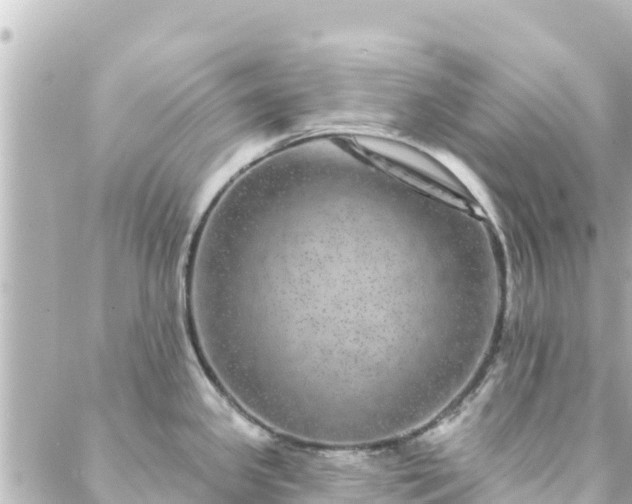 X0000088431341200705291515