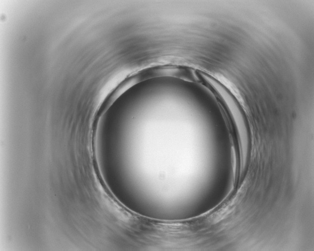 X0000088431342200705291515