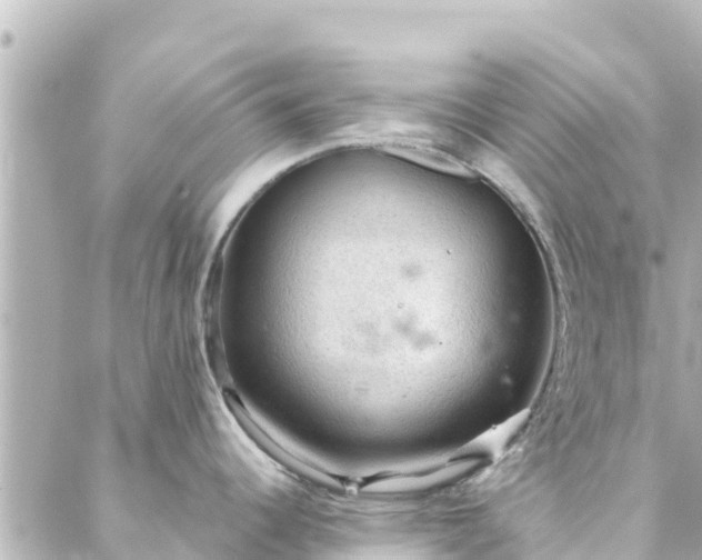 X0000088431344200705291515