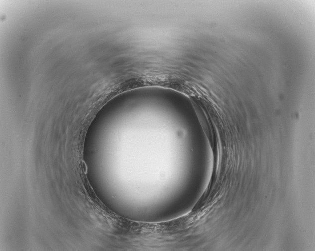 X0000088431345200705291515