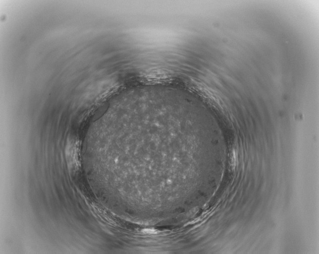 X0000088431346200705291515