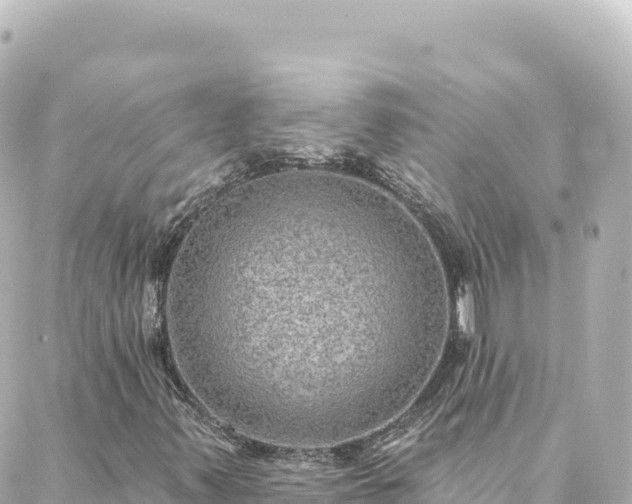 X0000088431347200705291515