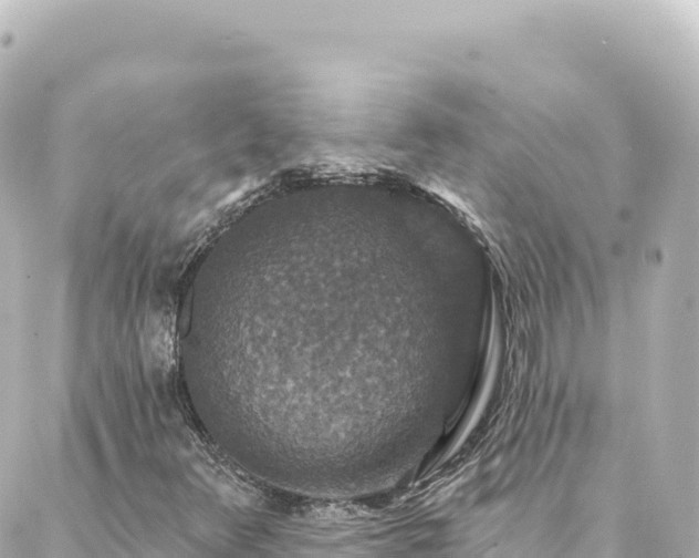 X0000088431348200705291515