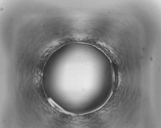 X0000088431349200705291515