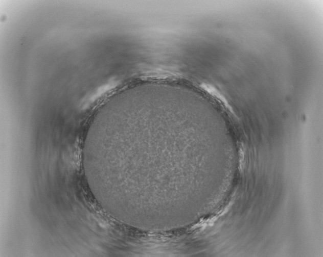 X0000088431350200705291515