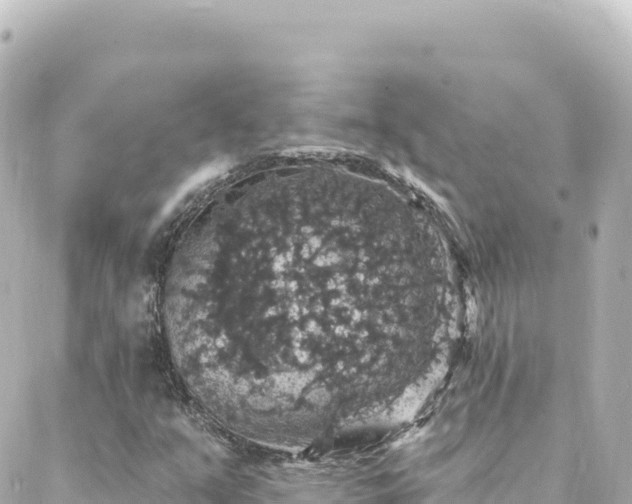 X0000088431351200705291515