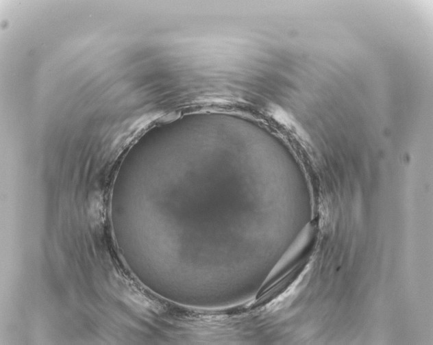 X0000088431353200705291514