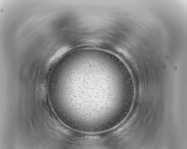 X0000088431354200705291514