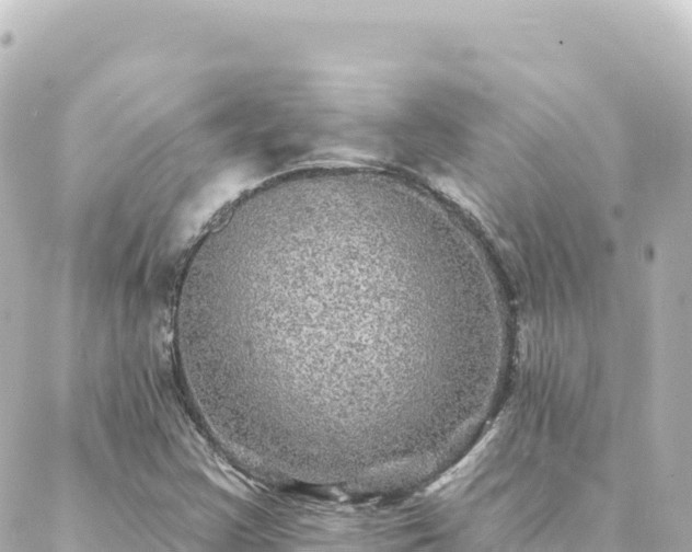 X0000088431355200705291514