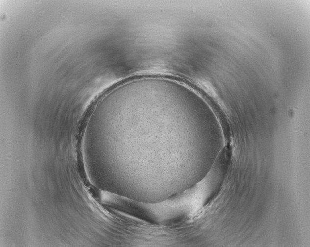 X0000088431356200705291514