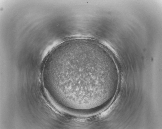 X0000088431357200705291514