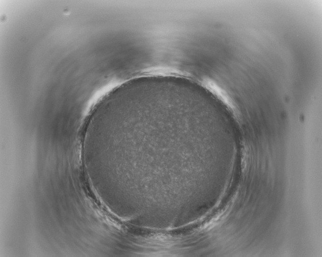 X0000088431358200705291514